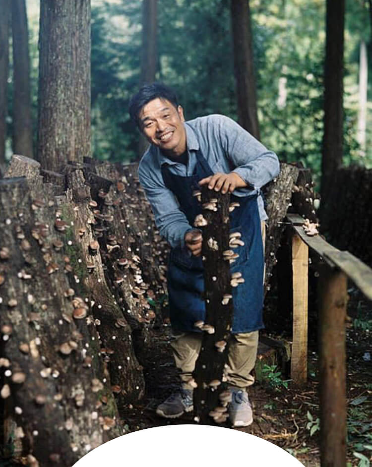 秀ちゃん椎茸の【園田きこり農園】山口県美祢市の原木しいたけを全国発送｜通販 ギフト 贈り物にも