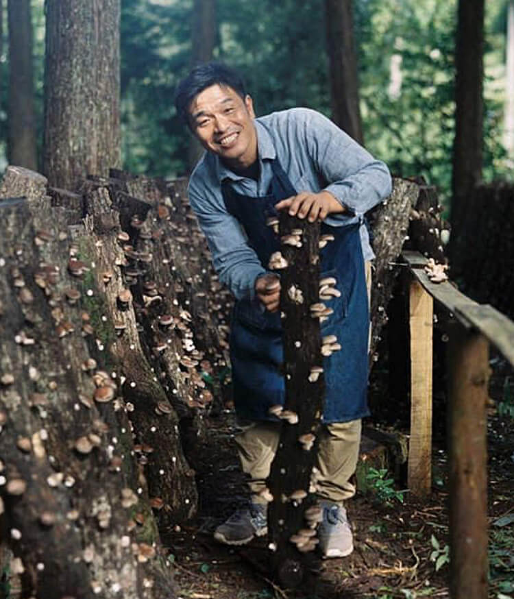 秀ちゃん椎茸の【園田きこり農園】山口県美祢市の原木しいたけを全国発送｜通販 ギフト 贈り物にも